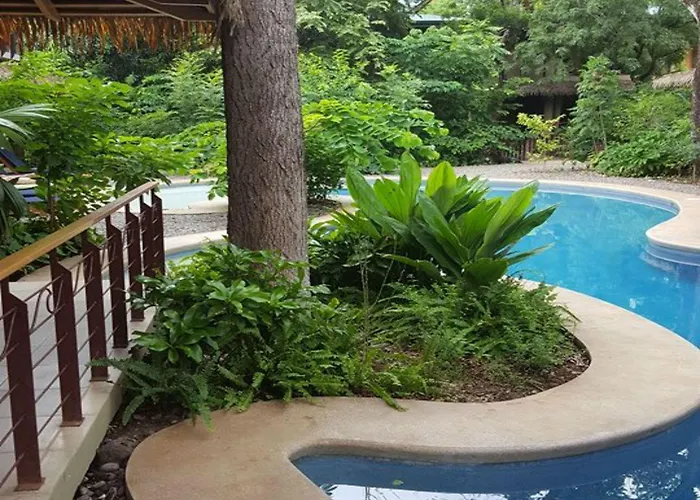 Hotel Olas Verdes Hotel 4*