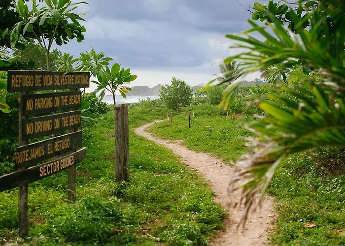 Olas Verdes Hotel Hotel Nosara